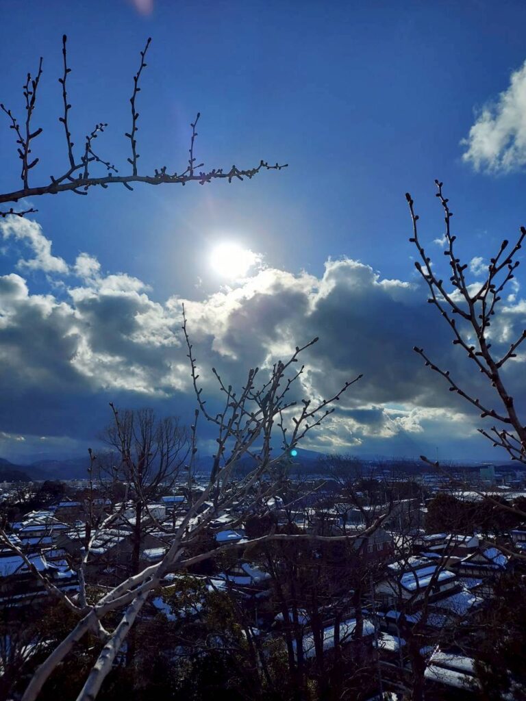 〇〇市 庭木管理