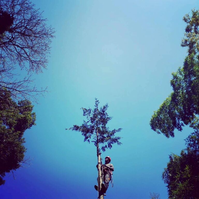 20件目